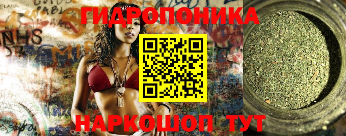 Бошки марихуана White Widow  Вход с VPN  Ревда  Бошки марихуана гибрид 